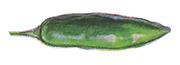 Serranos are a green, bullet-shaped, firm pepper with a fresh flavor and consistent level of heat that make them perfect for salsas.